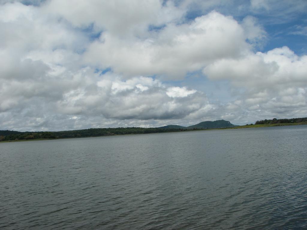 Coorg Jungle Camp Resort Suntikoppa Buitenkant foto