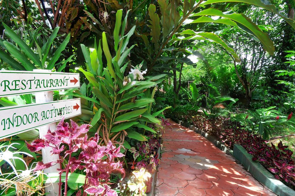 Coorg Jungle Camp Resort Suntikoppa Buitenkant foto