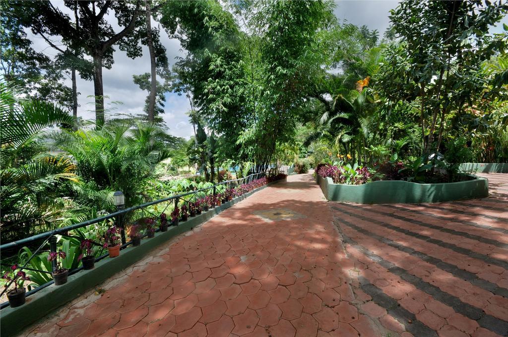 Coorg Jungle Camp Resort Suntikoppa Buitenkant foto