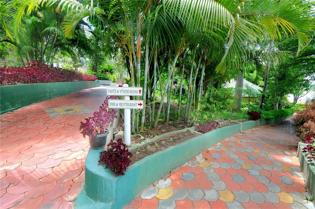 Coorg Jungle Camp Resort Suntikoppa Buitenkant foto