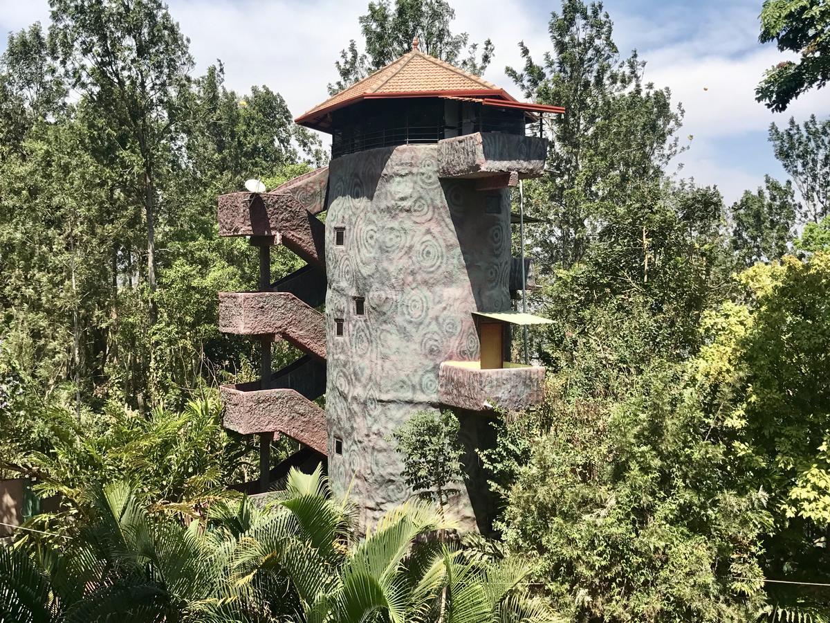 Coorg Jungle Camp Resort Suntikoppa Buitenkant foto
